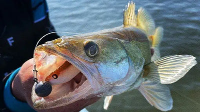 John Fish